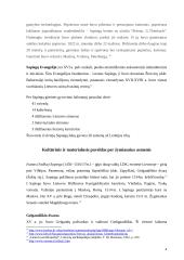 Sapiegų giminės kultūrinis ir materialusis paveldas 4 puslapis