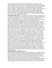 Saugus elgesys vandenyje 4 puslapis