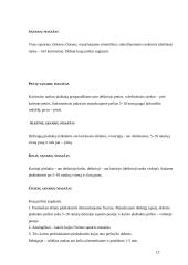 Savimasažas 12 puslapis