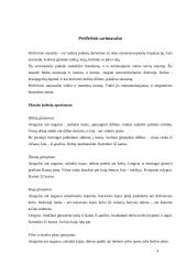 Savimasažas 3 puslapis