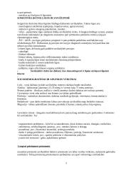 Savižudybė ir jos priežastys 5 puslapis