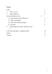 Seifų klasifikacija 2 puslapis