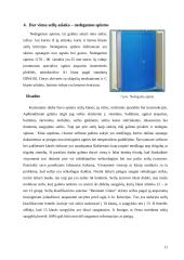 Seifų klasifikacija 11 puslapis