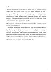 Seifų klasifikacija 3 puslapis