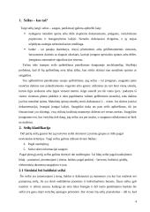 Seifų klasifikacija 4 puslapis