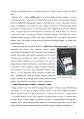 Seifų klasifikacija 9 puslapis