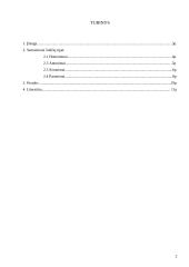 Semantiniai žodžių tipai 2 puslapis