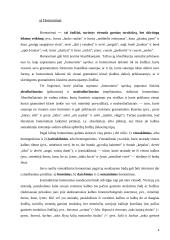 Semantiniai žodžių tipai 4 puslapis