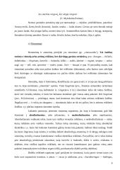 Semantiniai žodžių tipai 6 puslapis