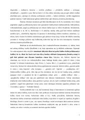 Semantiniai žodžių tipai 7 puslapis