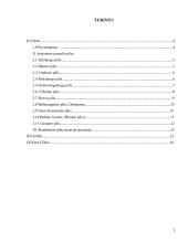 Seniausios pasaulio pilys 2 puslapis