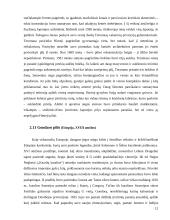 Seniausios pasaulio pilys 12 puslapis