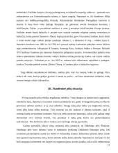 Seniausios pasaulio pilys 13 puslapis