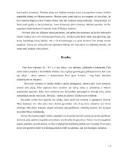 Seniausios pasaulio pilys 14 puslapis