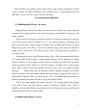 Seniausios pasaulio pilys 5 puslapis