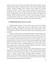 Seniausios pasaulio pilys 8 puslapis