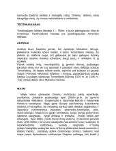 Senosios Amerikos civilizacijos 2 puslapis