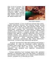 Senosios Amerikos civilizacijos 3 puslapis