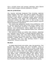 Senosios Amerikos civilizacijos 5 puslapis