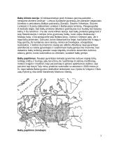 Senovės baltų gyvenimas 3 puslapis