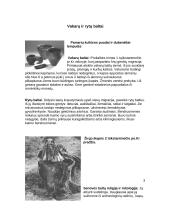 Senovės baltų gyvenimas 5 puslapis