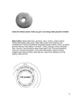 Senovės baltų gyvenimas 8 puslapis