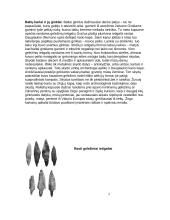 Senovės baltų gyvenimas 9 puslapis