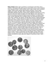 Senovės baltų gyvenimas 10 puslapis