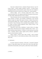 Senovės baltų tikėjimas šiandieninėje Lietuvoje 14 puslapis