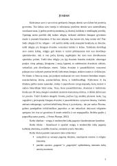 Senovės baltų tikėjimas šiandieninėje Lietuvoje 3 puslapis