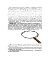 Senovės Indija 4 puslapis