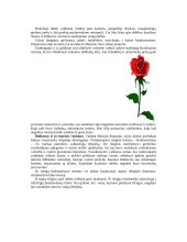 Senovės Indija 8 puslapis