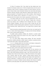 Senovės Kinija 7 puslapis