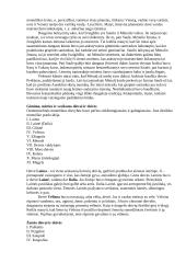 Senovės lietuvių mitologija ir religija - paskaitų teorija 3 puslapis