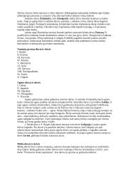 Senovės lietuvių mitologija ir religija - paskaitų teorija 5 puslapis