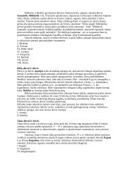 Senovės lietuvių mitologija ir religija - paskaitų teorija 6 puslapis