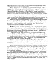 Senovės lietuvių mitologija ir religija - paskaitų teorija 10 puslapis