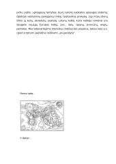 Senovės Romos pasaulis 13 puslapis