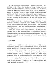 Senovės Romos pasaulis 9 puslapis