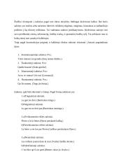 Sintaksė ir sakiniai 11 puslapis