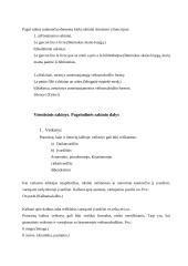 Sintaksė ir sakiniai 12 puslapis