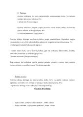 Sintaksė ir sakiniai 13 puslapis