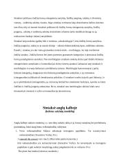 Sintaksė ir sakiniai 3 puslapis