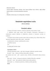 Sintaksė ir sakiniai 5 puslapis