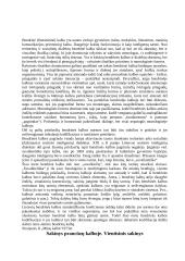 Sintaksė ir sakiniai 10 puslapis