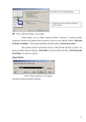 Skaičiuoklės duomenų bazės ir duomenų analizė 11 puslapis
