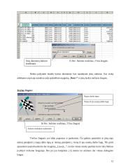 Skaičiuoklės duomenų bazės ir duomenų analizė 12 puslapis