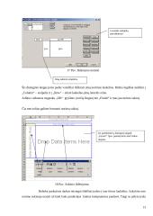 Skaičiuoklės duomenų bazės ir duomenų analizė 13 puslapis