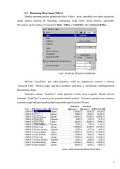 Skaičiuoklės duomenų bazės ir duomenų analizė 5 puslapis