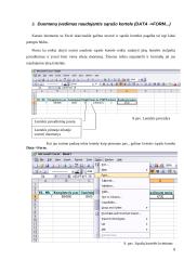 Skaičiuoklės duomenų bazės ir duomenų analizė 8 puslapis